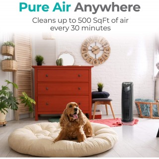 HEPA Air Purifier for Home, Office, Bedrooms up to 500 Sqft. Eliminates Germs, Bacteria, Mold, Odors, while Filtering Allergens, Dust, Pollen, Pet Dander, Black
