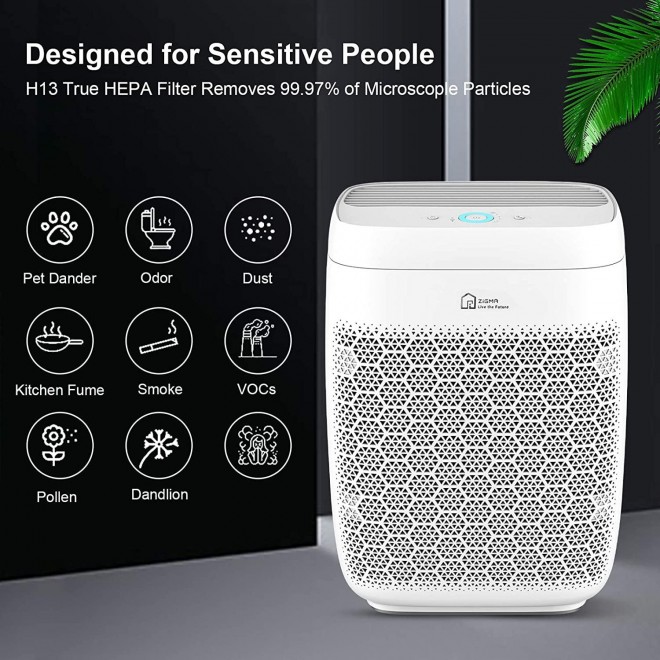 Air Purifier,Smart WiFi Air Purifier for Large Room up to 1580 ft2, Available for California, True HEPA 5-in-1 Air Purifiers w/Voice Control for Dust, Pollen, Smoke, Air Cleaner Aerio-300