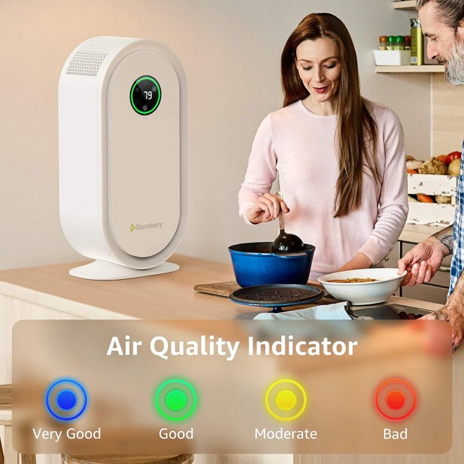 Air Purifier for Home Large Room, H13 True HEPA Filter Air Cleaner for Dust, Allergies, Odors, Pets, Smoke, C380 Air Purifiers for Bedroom with Auto Mode, Sleep Mode, PM2.5