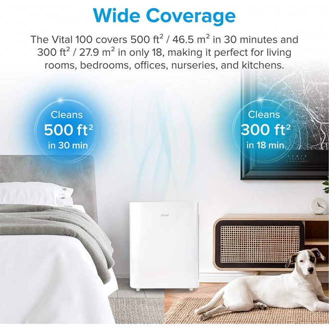 Air Purifier for Home Large Room, H13 True HEPA Filter Cleaner with Washable Filter for Allergies and Pets, Smokers, Mold, Pollen, Dust, Quiet Odor Eliminators for Bedroom, Vital 100 (White)